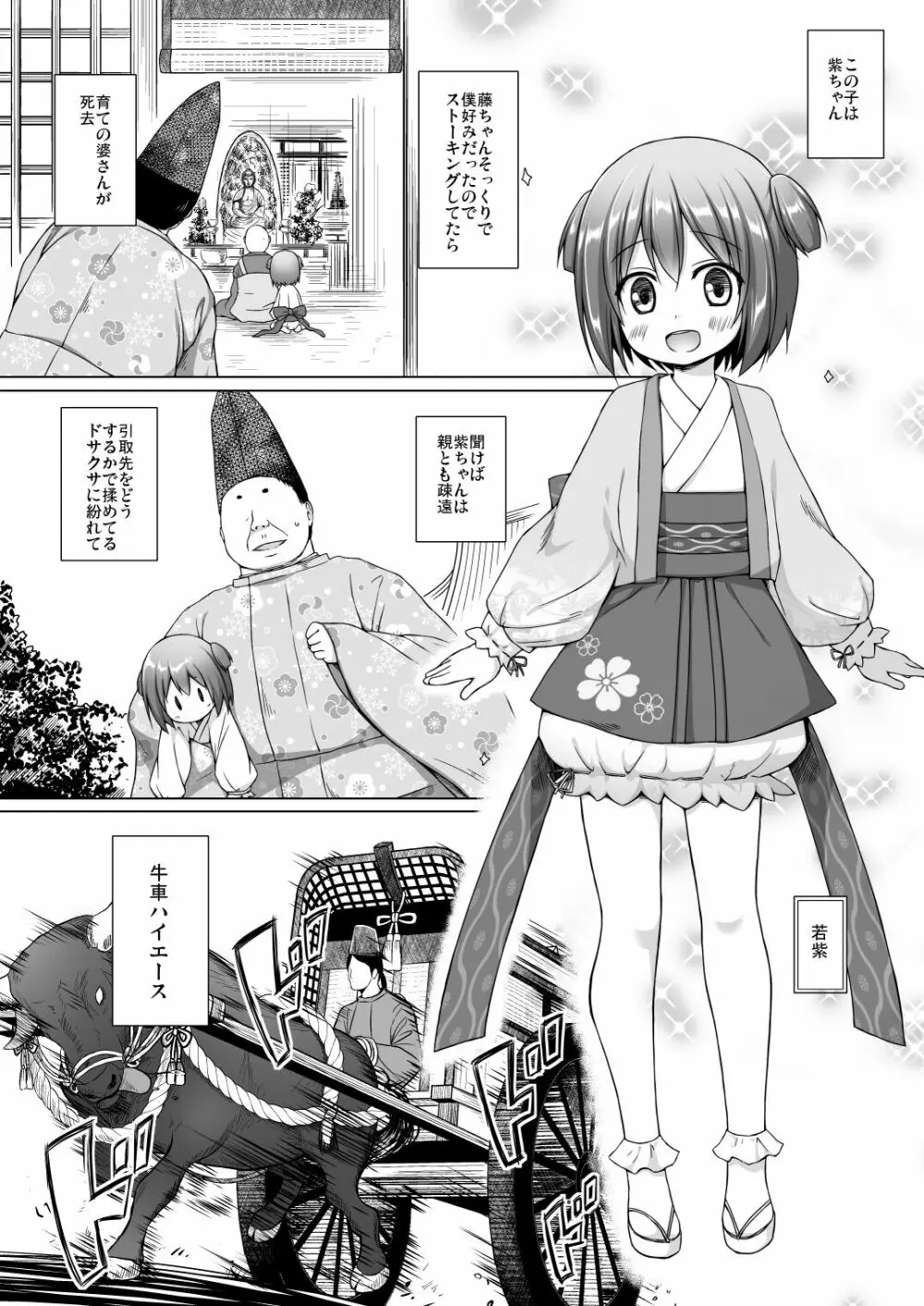 光の君のさがなき計画〈若紫〉 Page.3