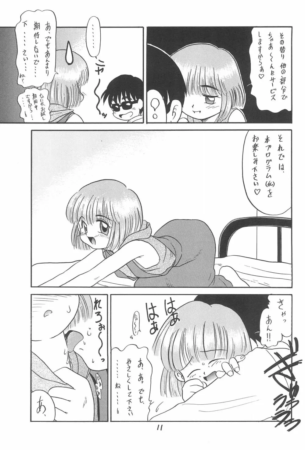 ある意味酷い本 Page.11