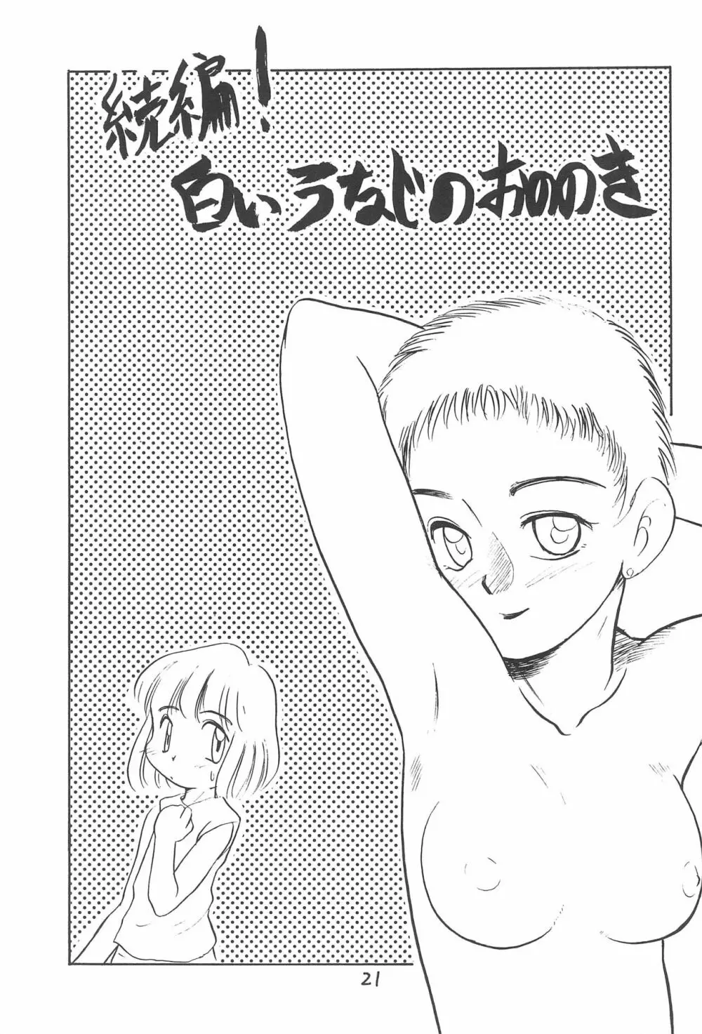 ある意味酷い本 Page.21