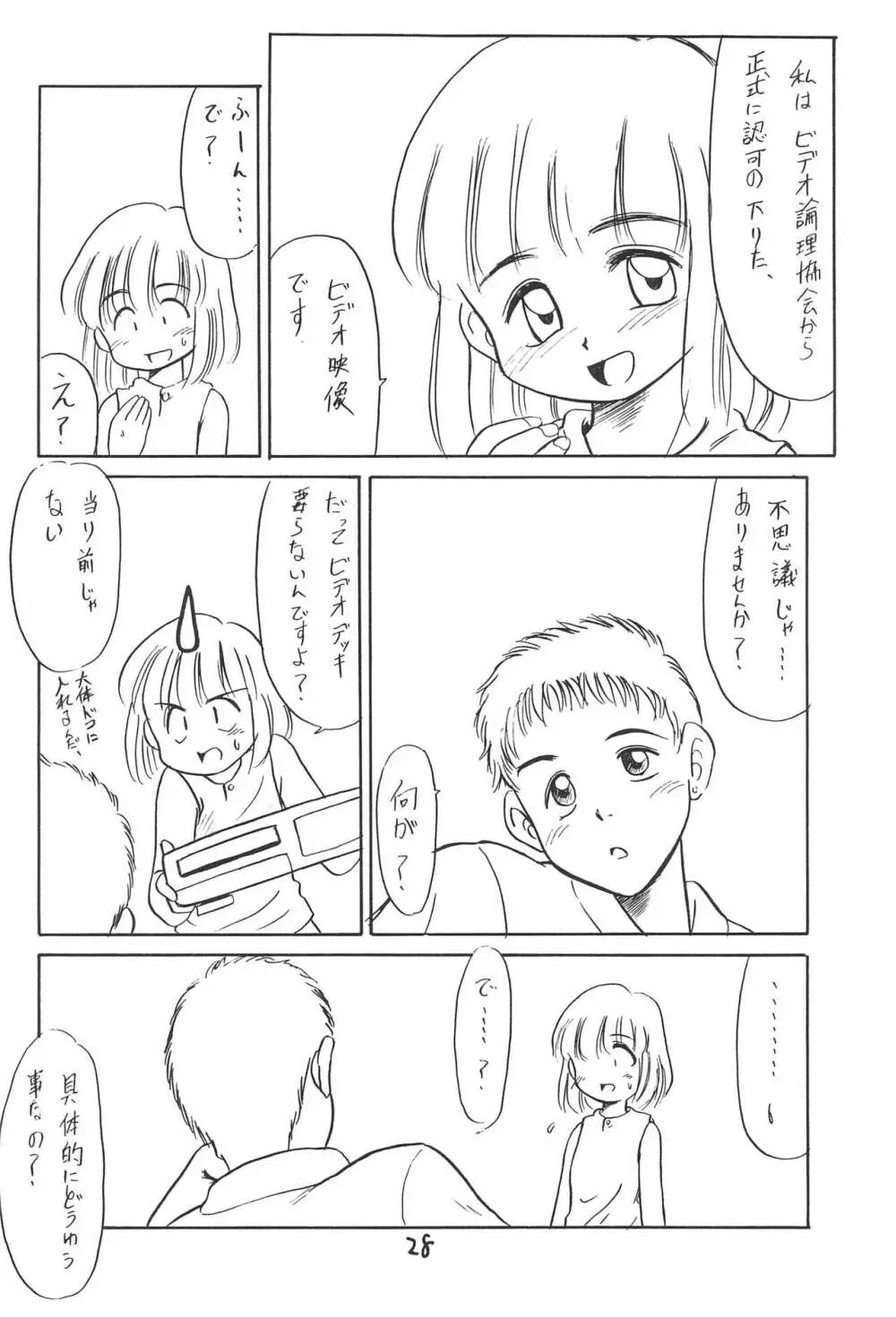 ある意味酷い本 Page.28