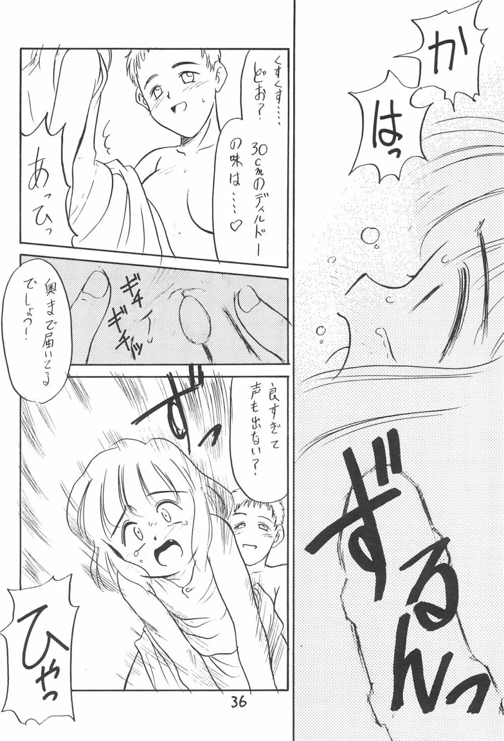 ある意味酷い本 Page.36