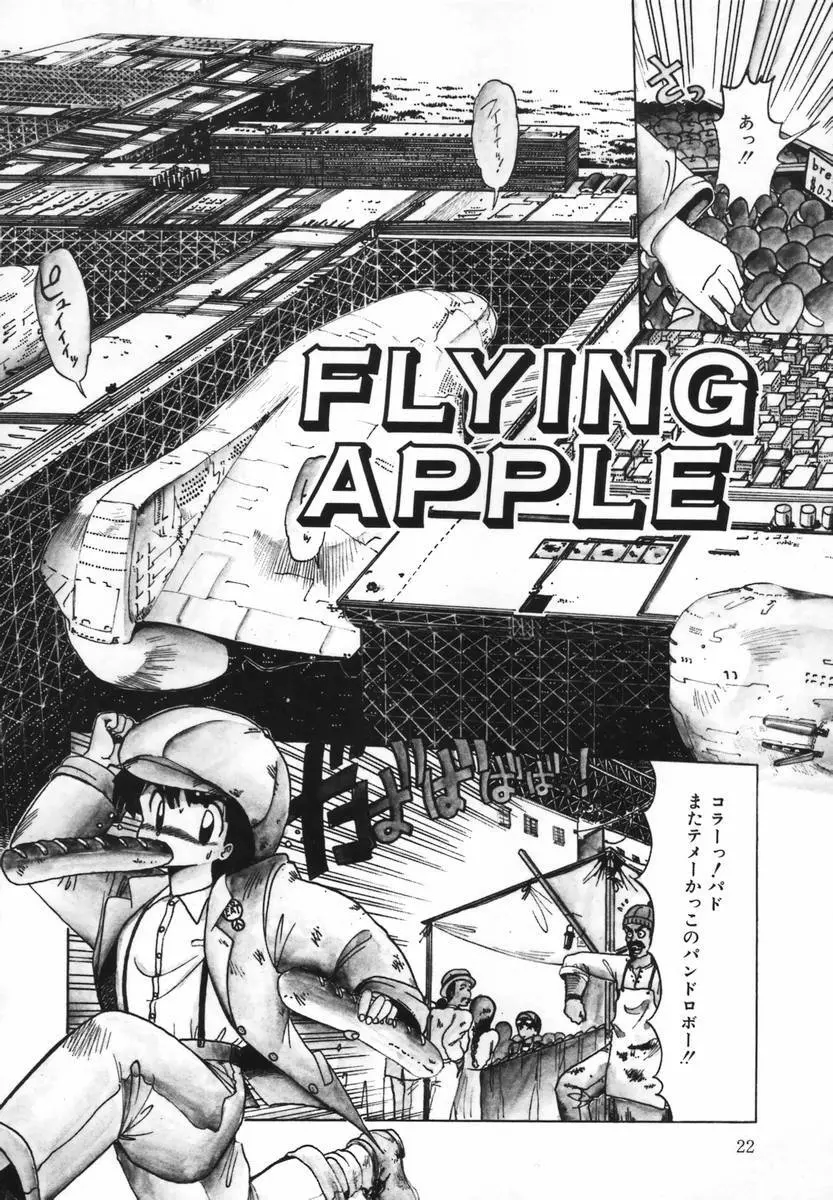 FLYING APPLE Page.26