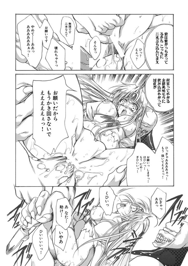 聖王妃 エルレイン（田宮秋人） Princess St Page.16