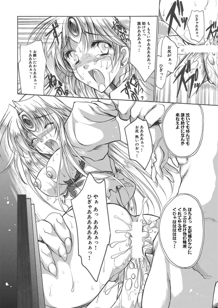 聖王妃 エルレイン（田宮秋人） Princess St Page.17