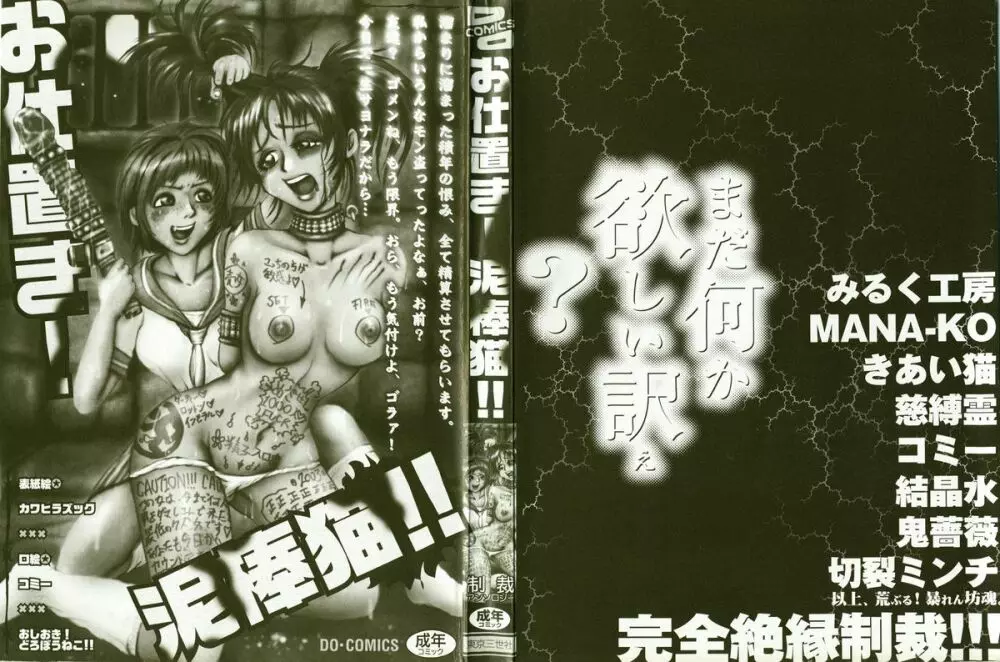 お仕置き!泥棒猫!! Page.3