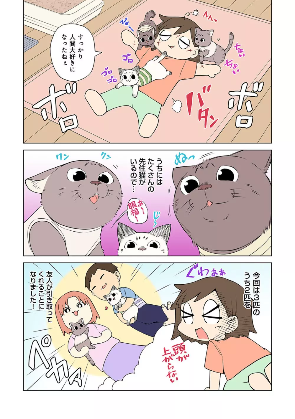 アナンガ・ランガ Vol. 82 Page.257