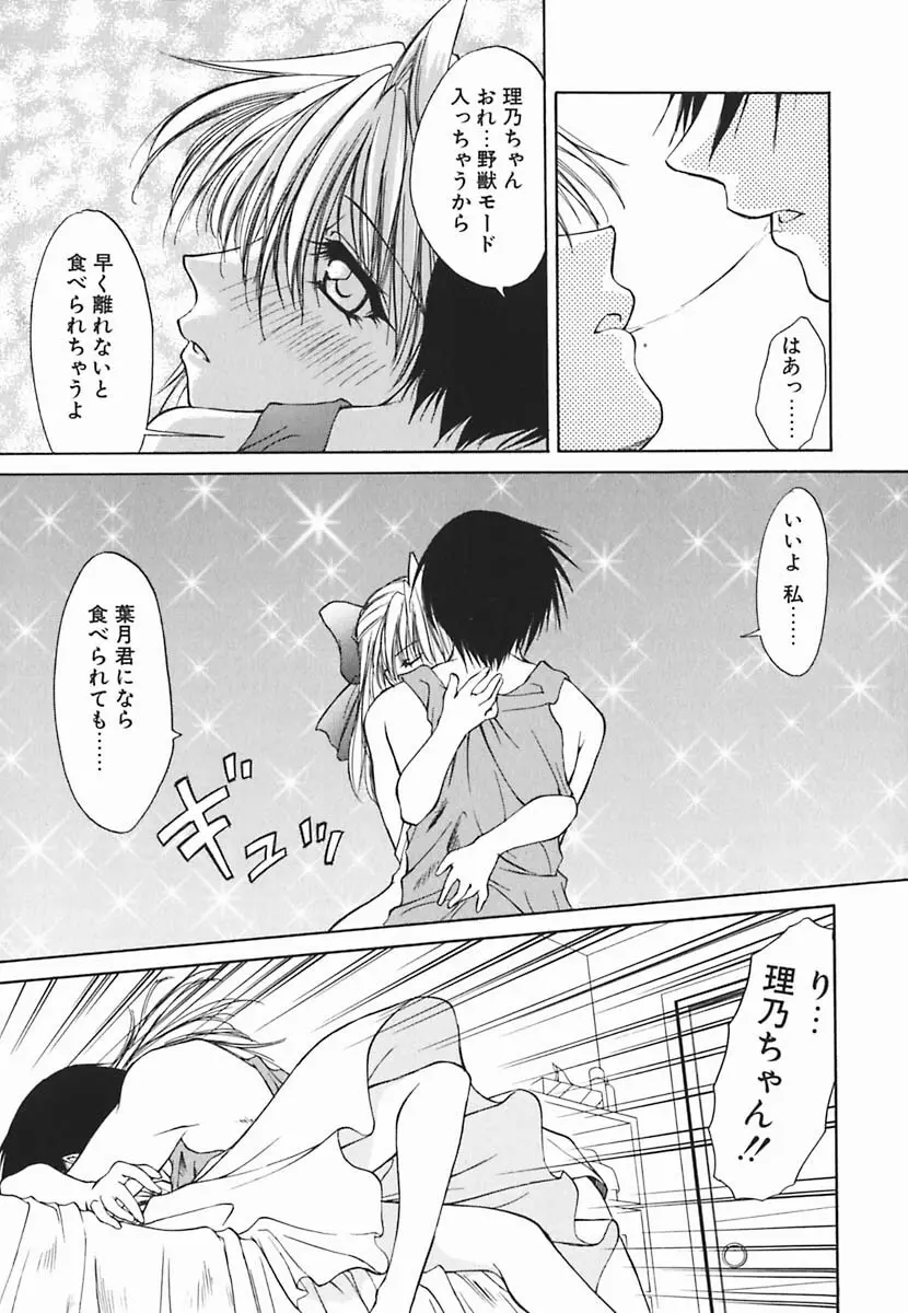 葉月くんの恋人 Page.16