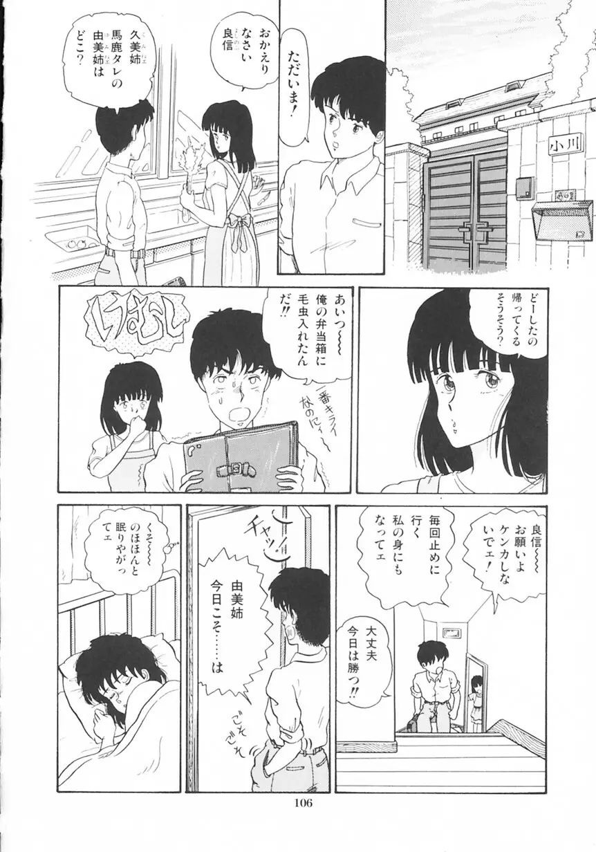 月光妖精カンパニー Page.107