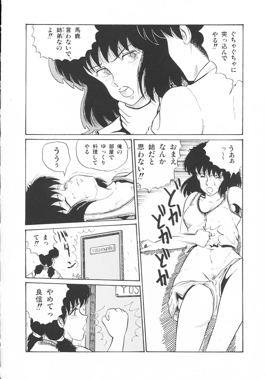 月光妖精カンパニー Page.139