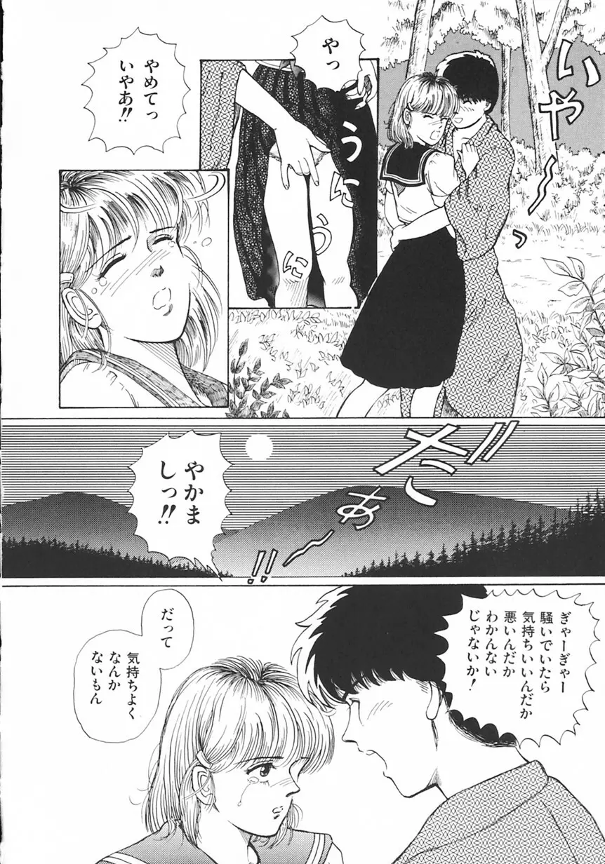 月光妖精カンパニー Page.27