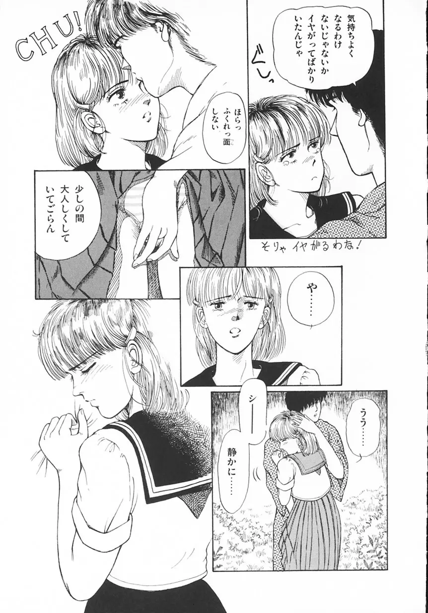 月光妖精カンパニー Page.28