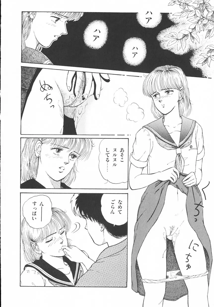 月光妖精カンパニー Page.29