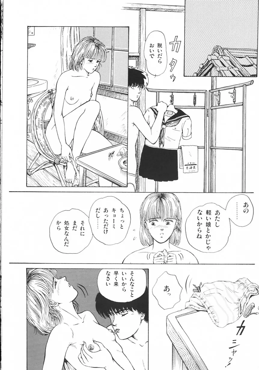 月光妖精カンパニー Page.31