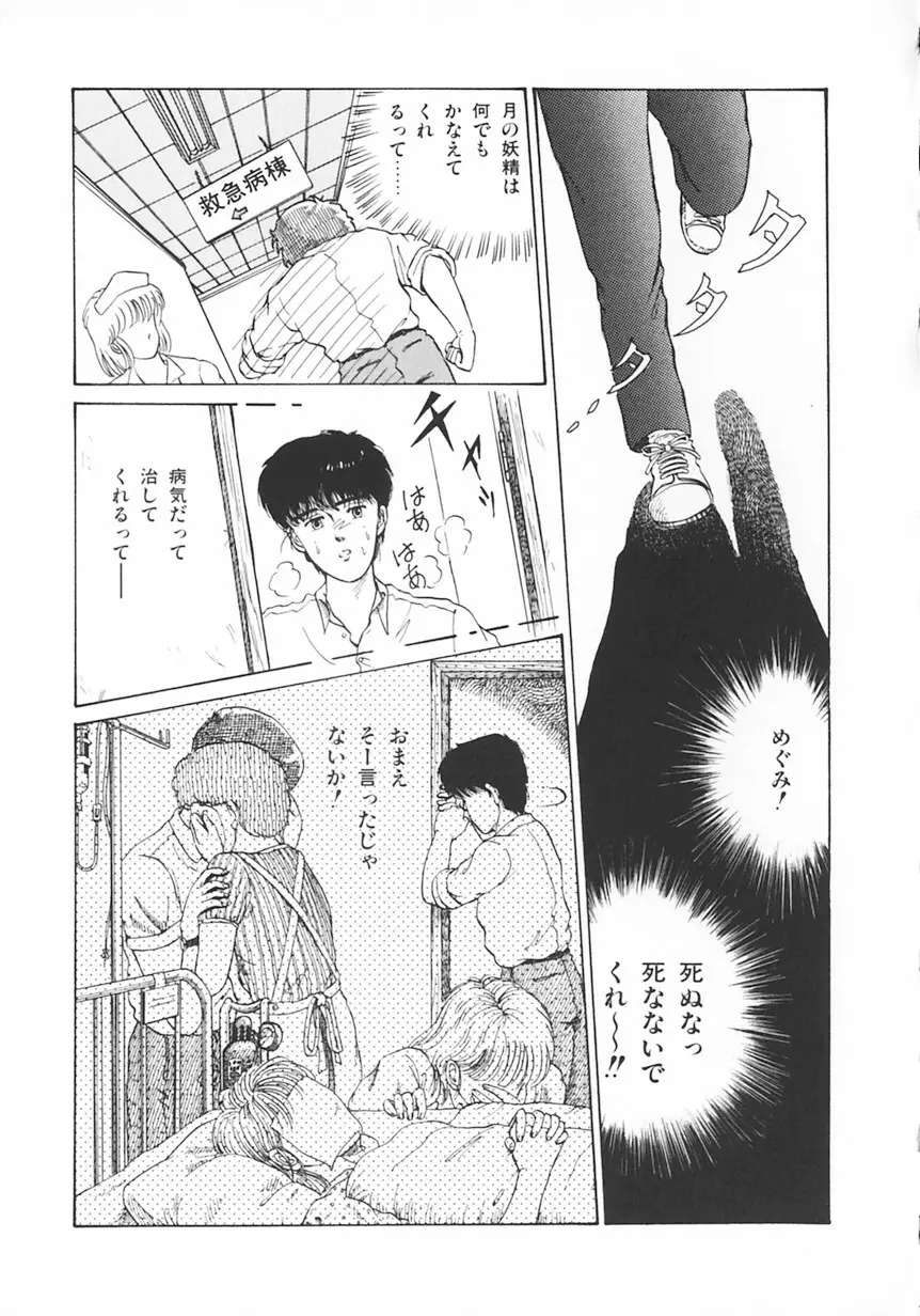 月光妖精カンパニー Page.40