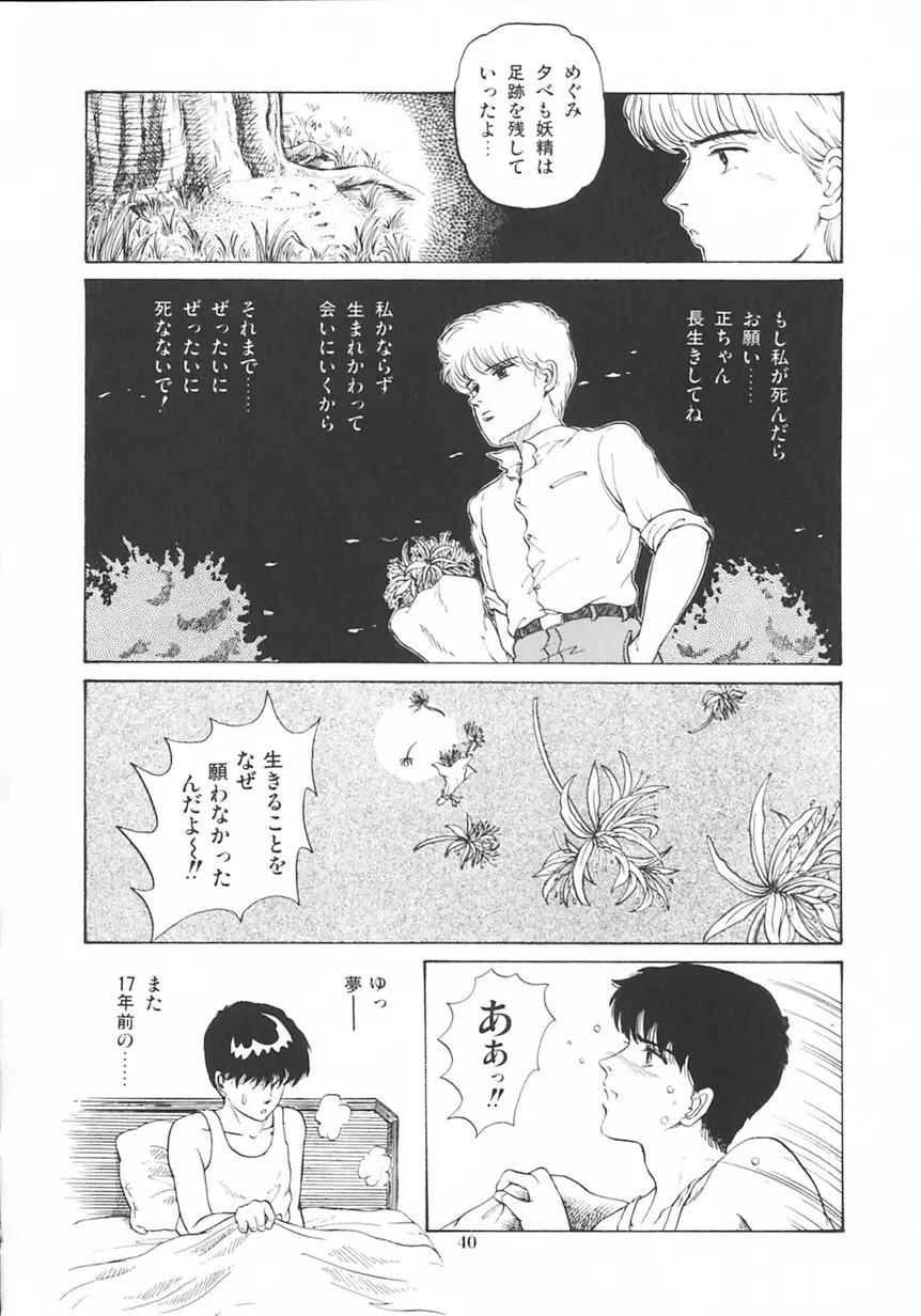 月光妖精カンパニー Page.41