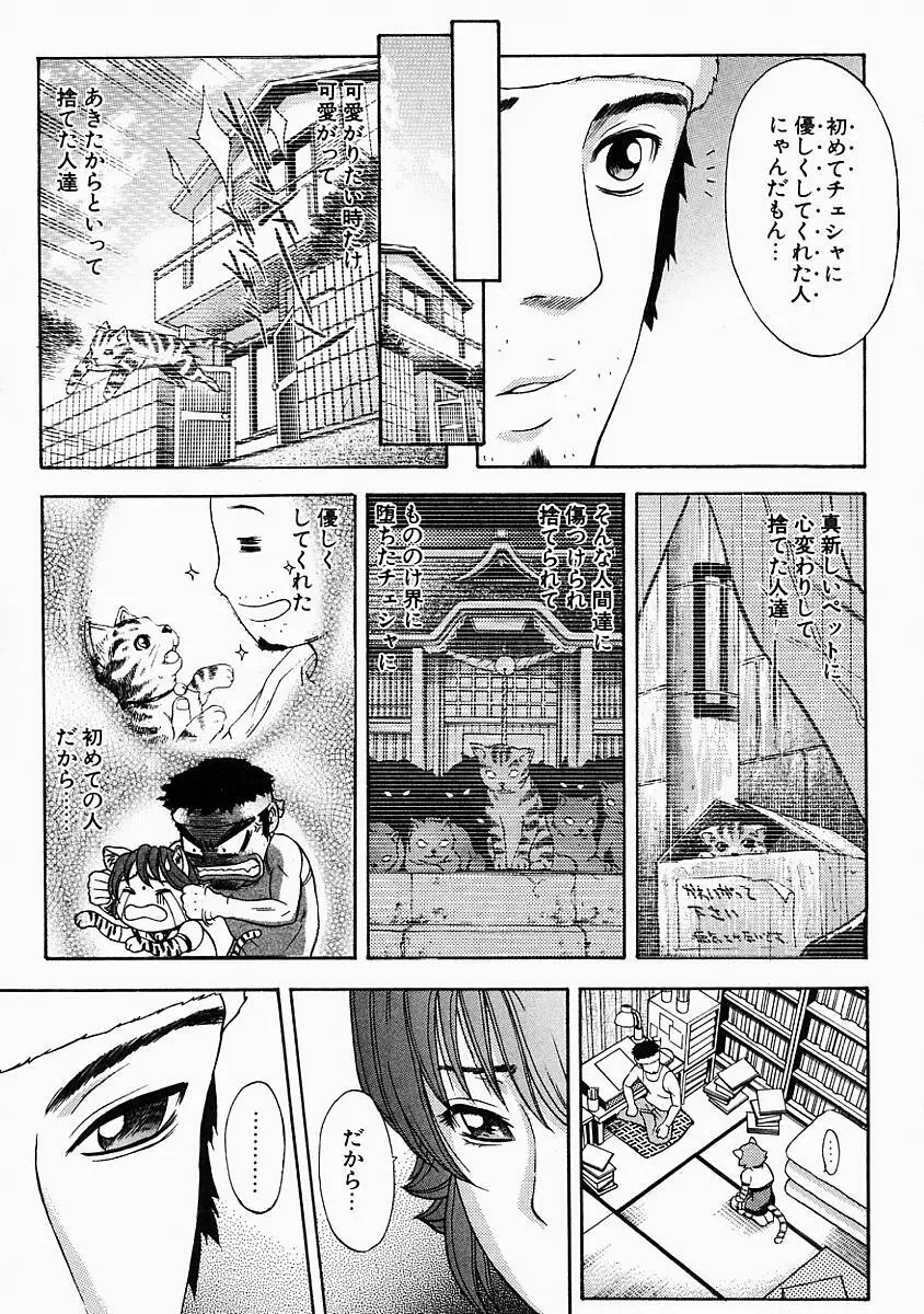 バニティーフェア Page.33