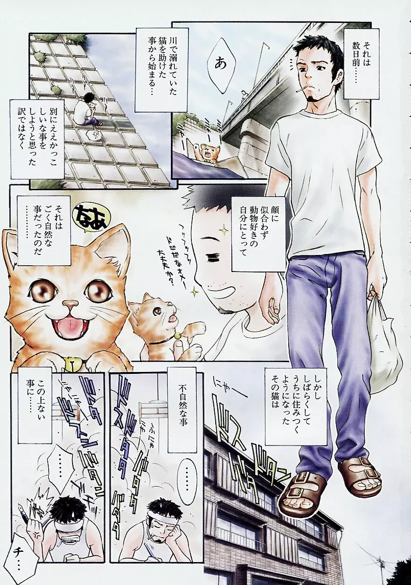 バニティーフェア Page.4