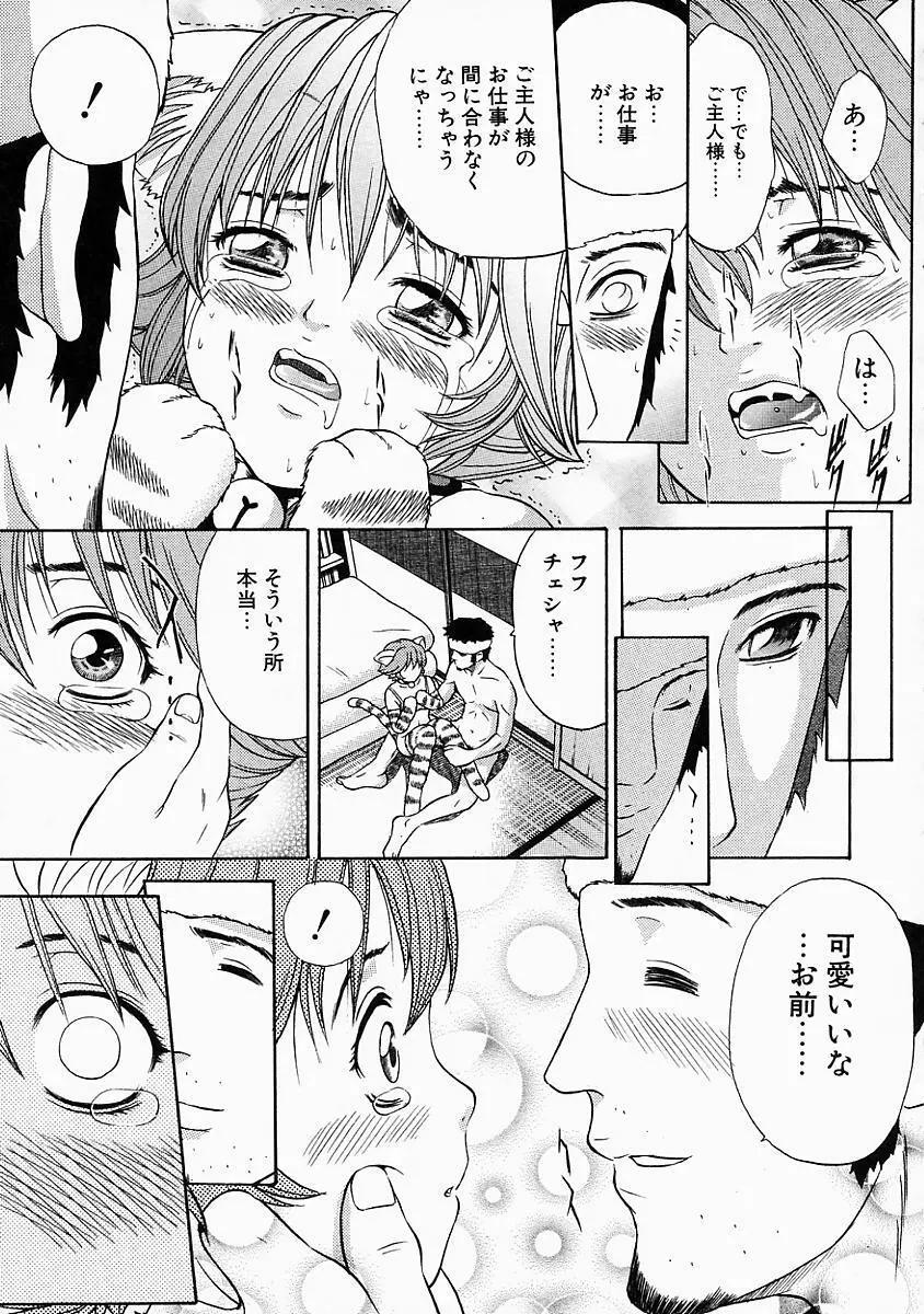 バニティーフェア Page.41