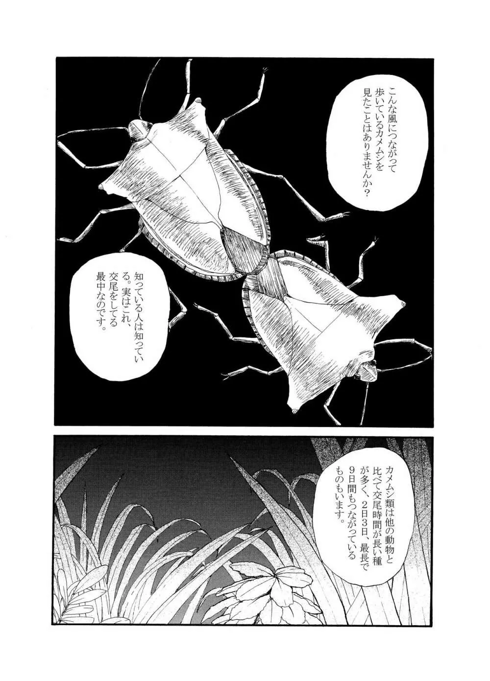 [動物性生活図鑑」シリーズ カメムシ Page.2