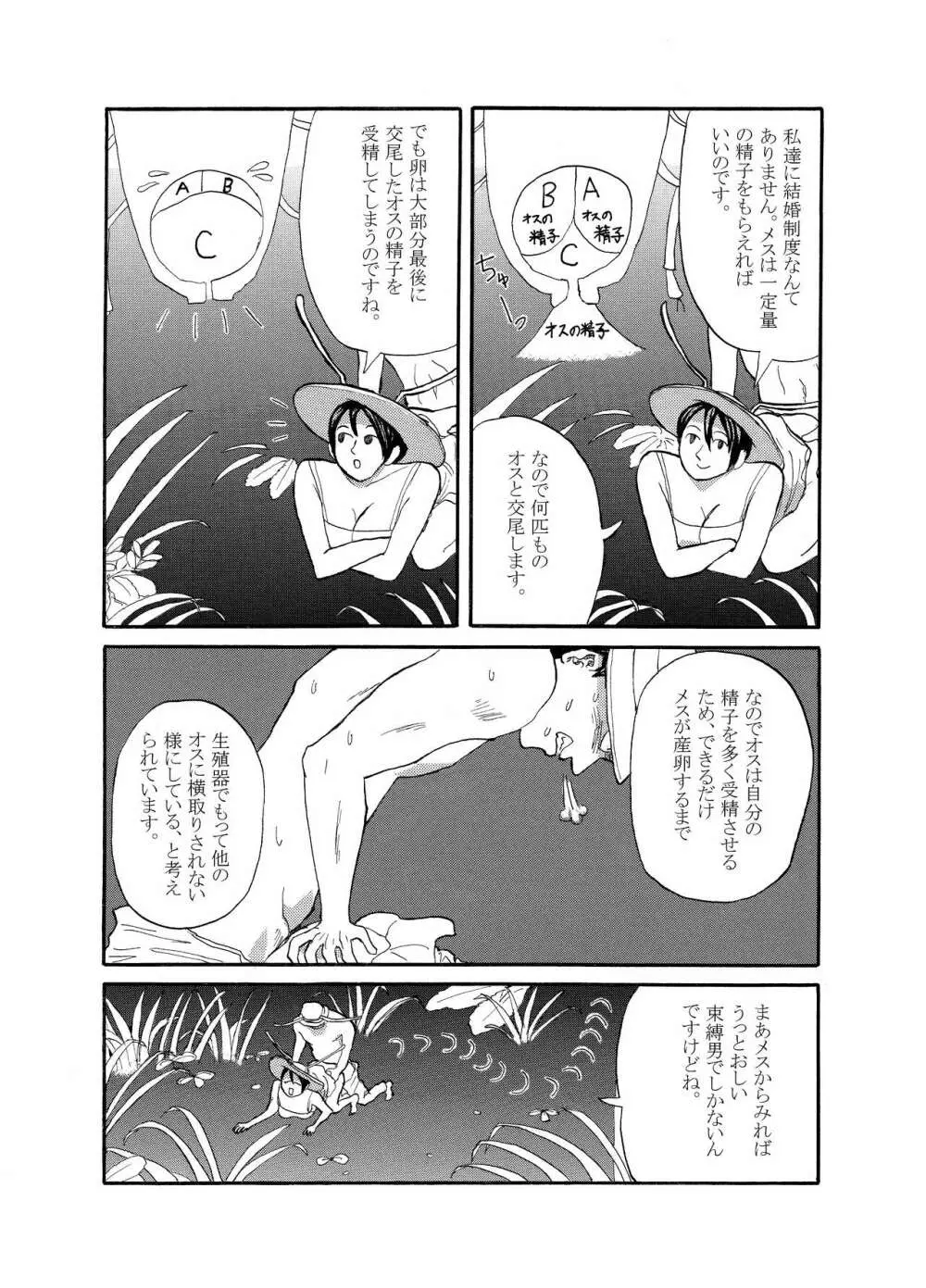 [動物性生活図鑑」シリーズ カメムシ Page.4