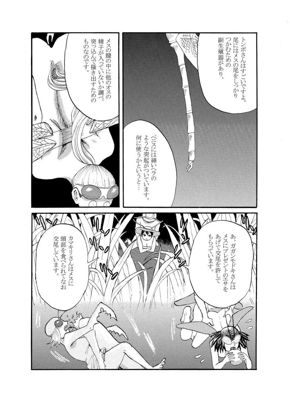 [動物性生活図鑑」シリーズ カメムシ Page.6