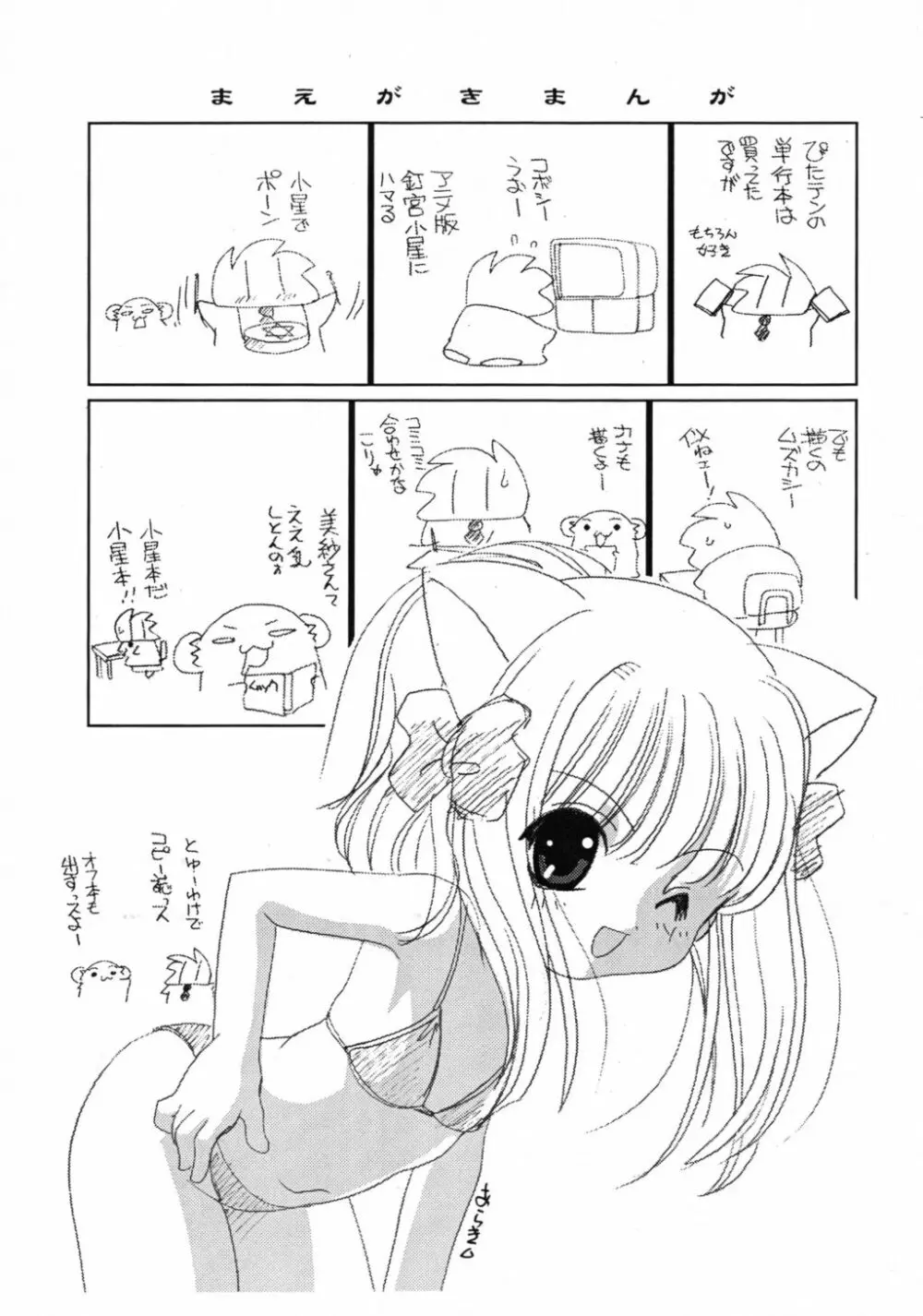 小星のいじり方 Page.3