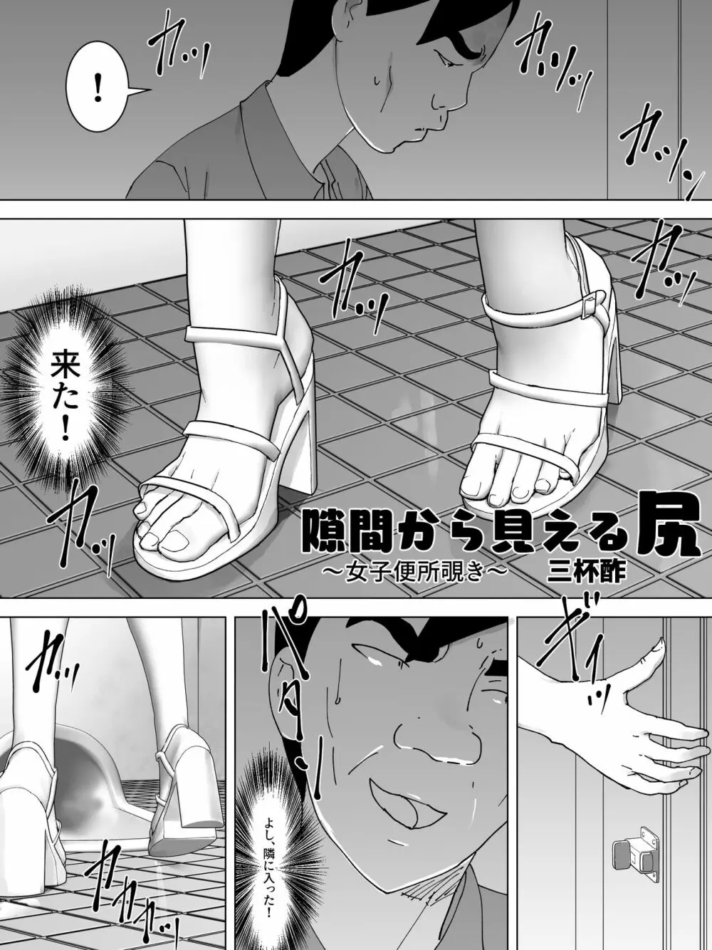 隙間から見える尻~女子便所覗き~ Page.2