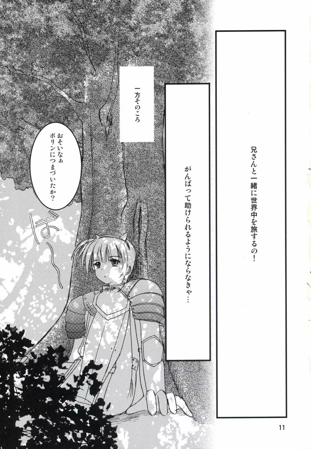 アコたん騎士たんの事情 ～壁する側と壁される側のカンケイ～ Page.11