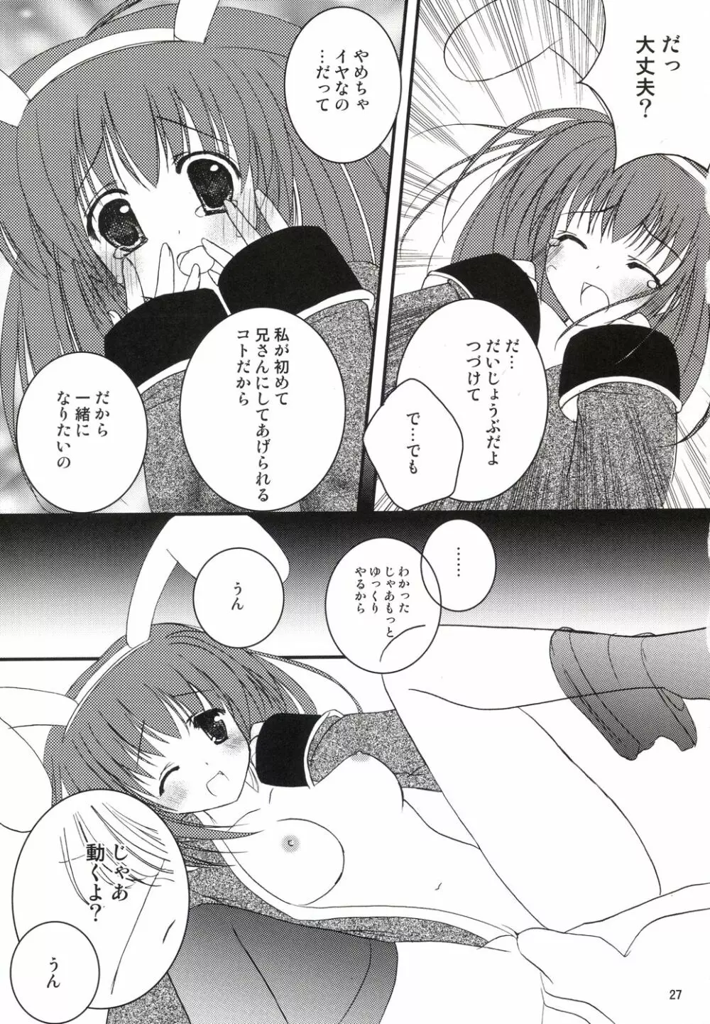 アコたん騎士たんの事情 ～壁する側と壁される側のカンケイ～ Page.27