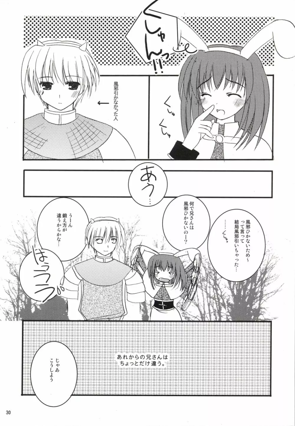 アコたん騎士たんの事情 ～壁する側と壁される側のカンケイ～ Page.30