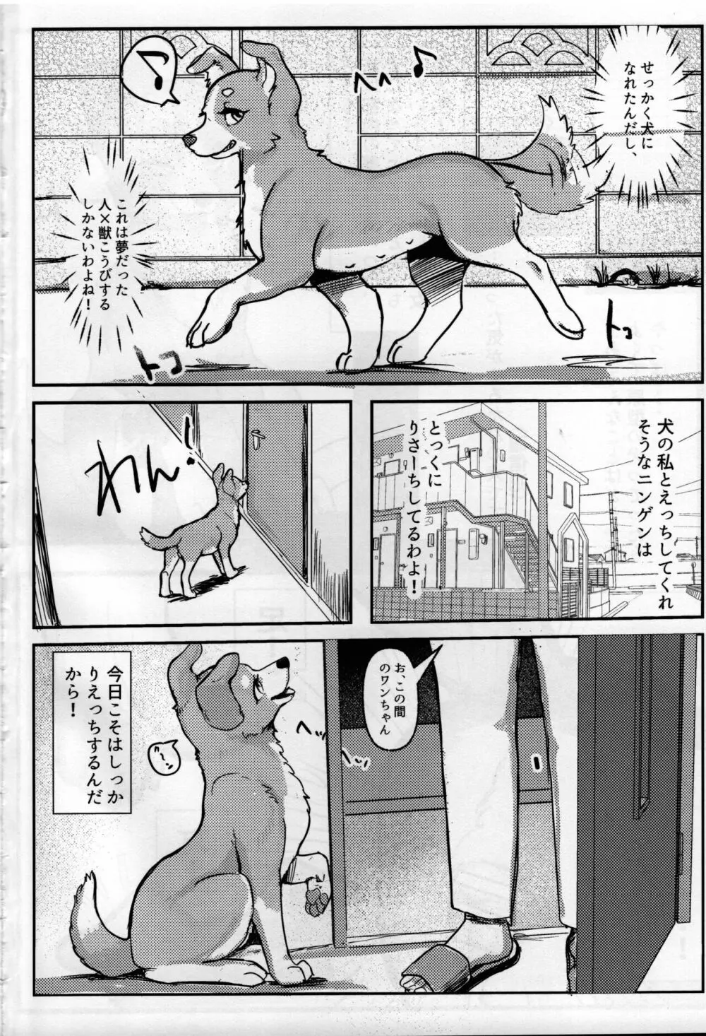 わんだふる!0.5 Page.3