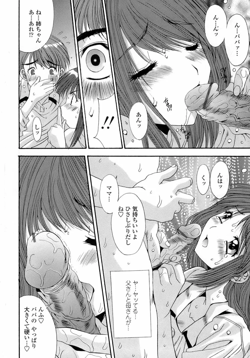 姉姦 -あねかん- Page.14