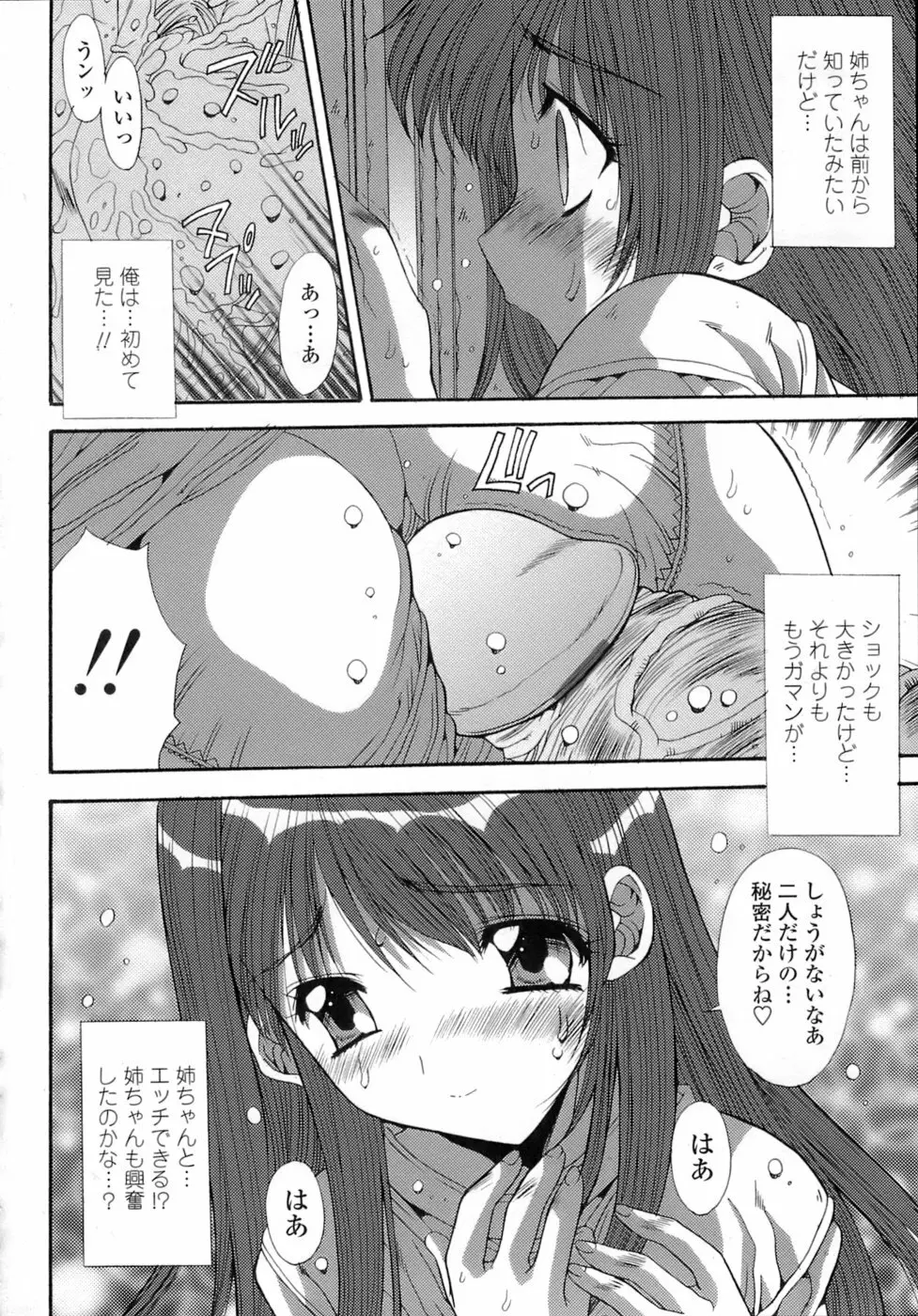 姉姦 -あねかん- Page.24