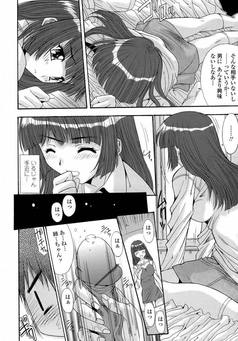 姉姦 -あねかん- Page.46