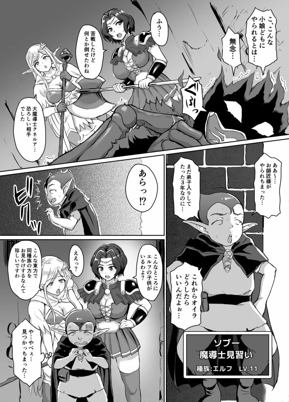 スケベエルフと冒険者ギルド ~大魔導士討伐編~ Page.3