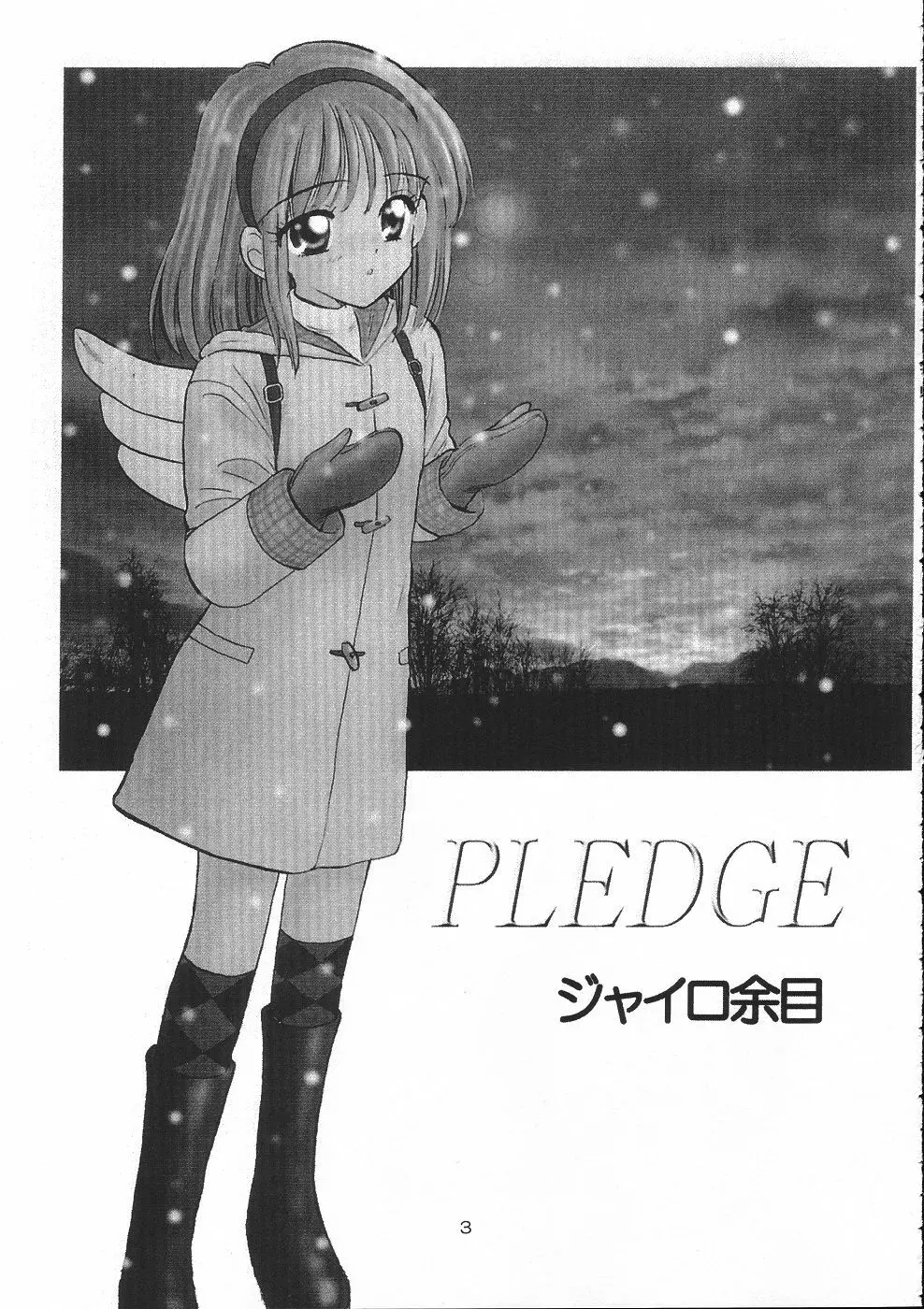 PLEDGE Page.2