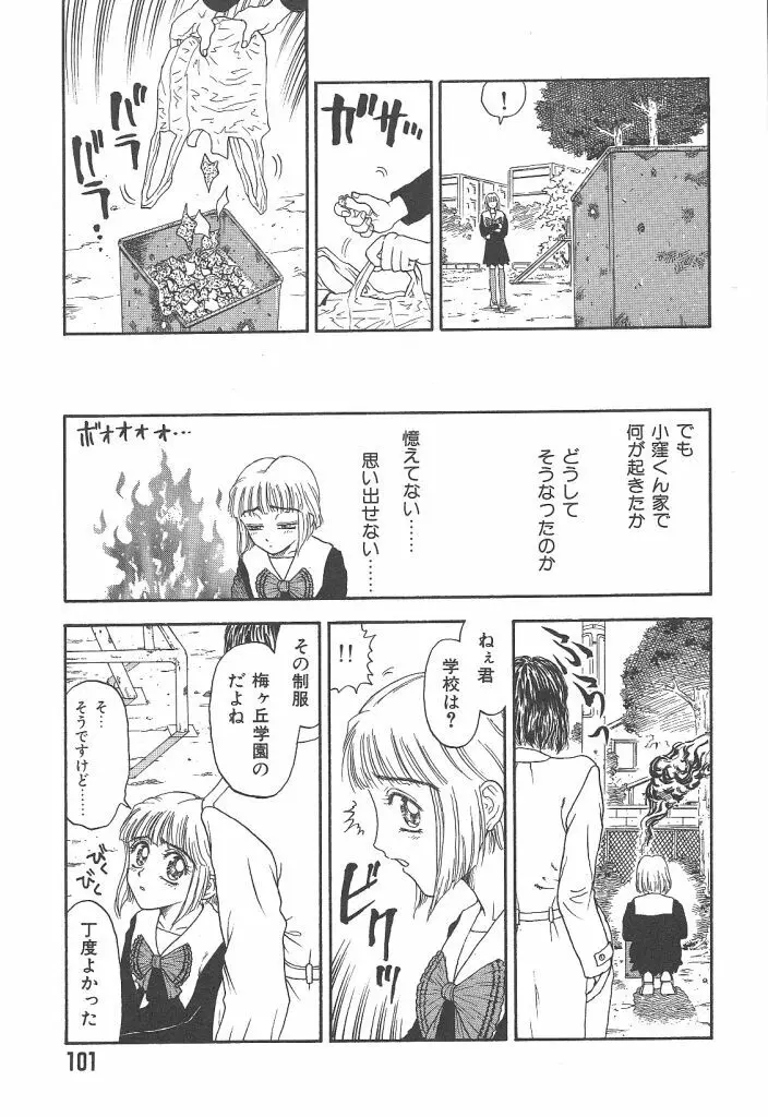 まいらんどはつてん Page.101