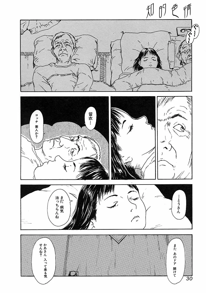 知的色情 vol.3 Page.29