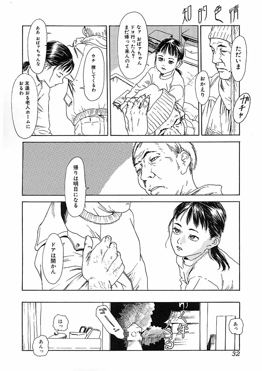 知的色情 vol.3 Page.31