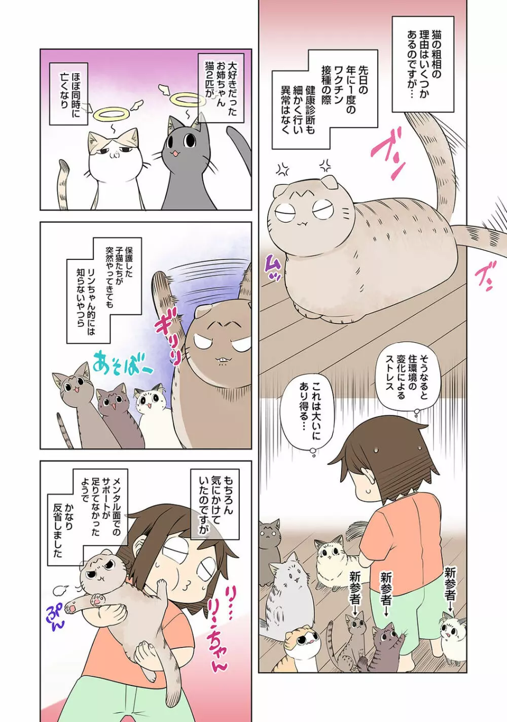 アナンガ・ランガ Vol. 87 Page.252