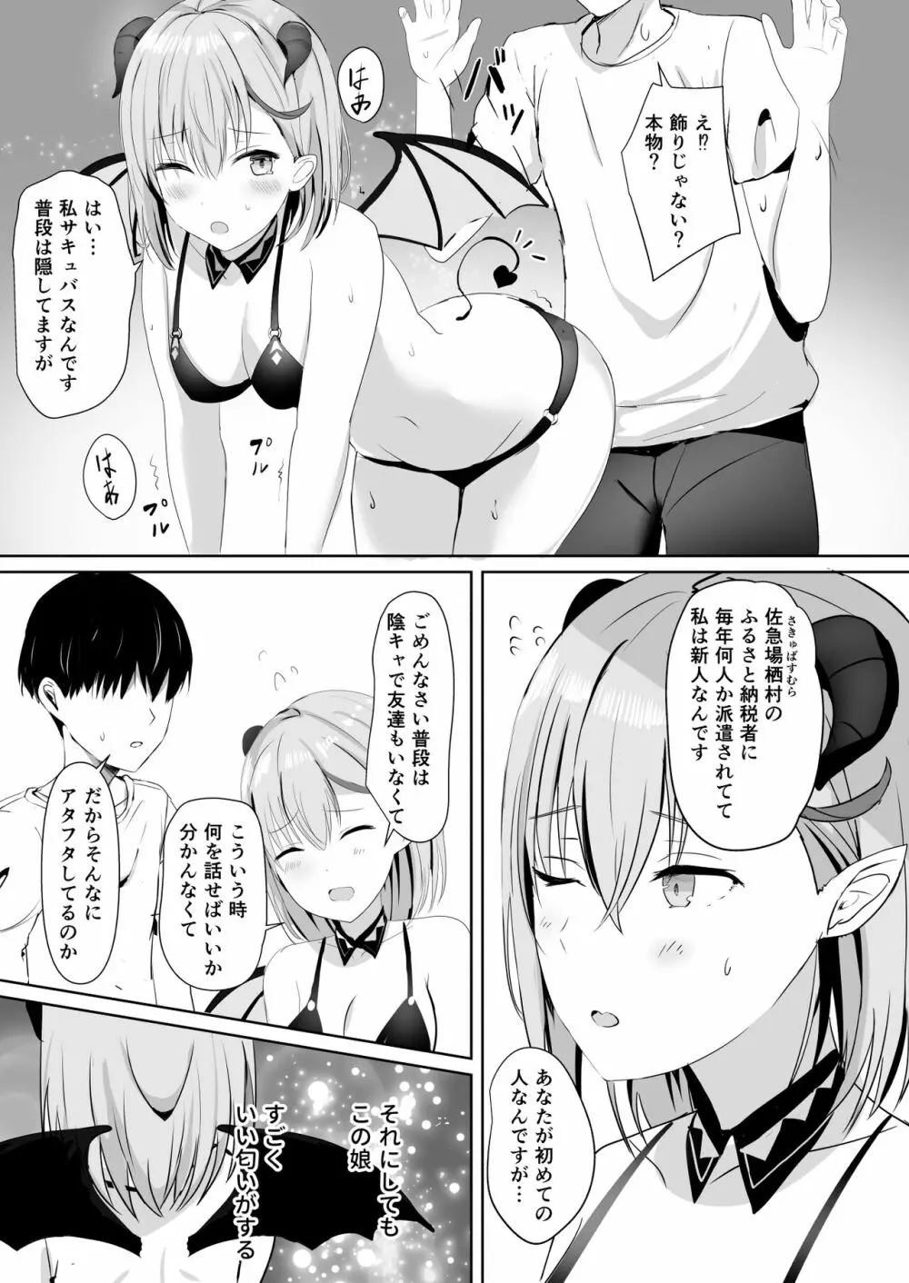 ふるさと納税したら陰キャなサキュバスが返礼されました Page.10