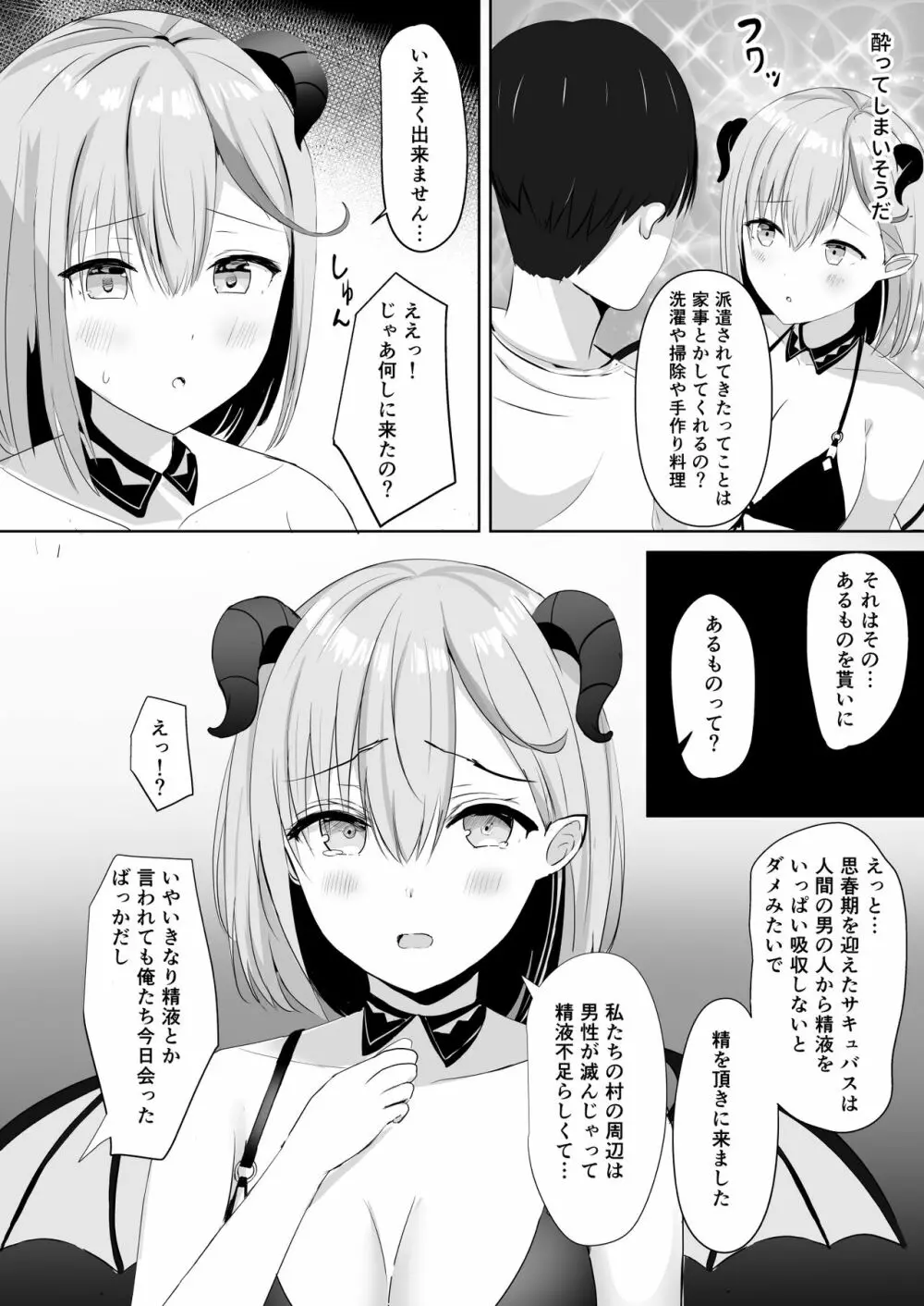 ふるさと納税したら陰キャなサキュバスが返礼されました Page.11