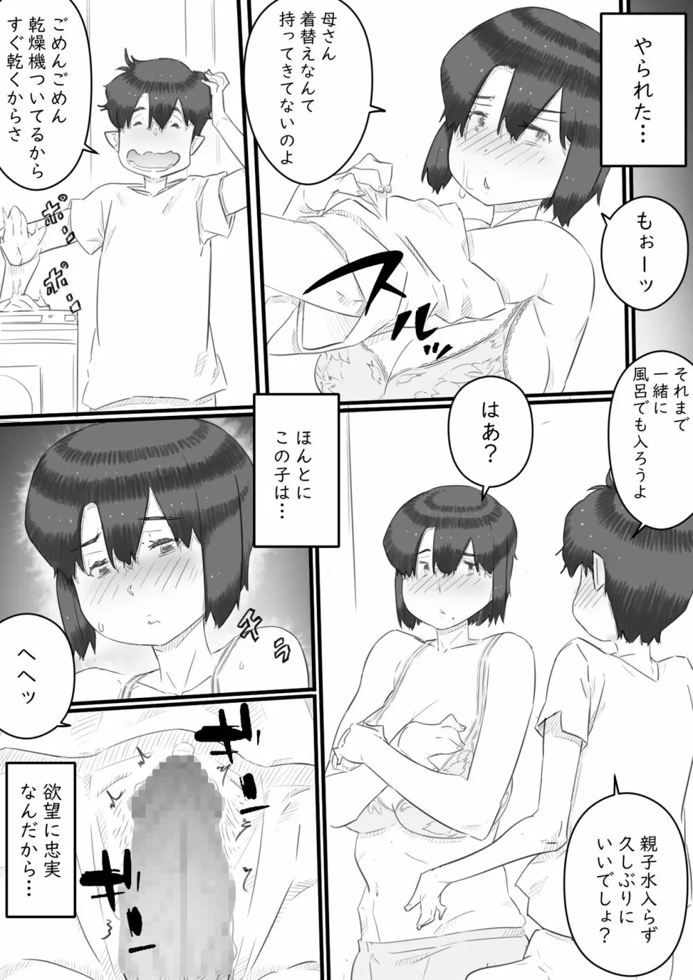 一人暮らしの息子の部屋で…‐母と息子の秘密の関係‐ Page.12