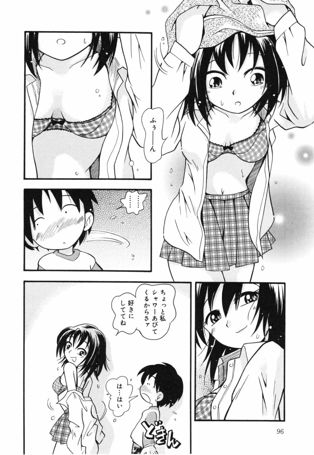 晴れときどきぬれねずみ Page.95