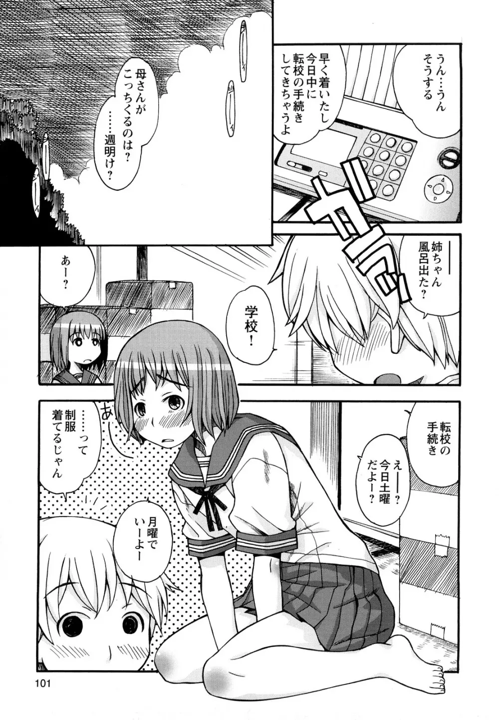 ぼくだって姉とセックスしてみたい！ Page.103