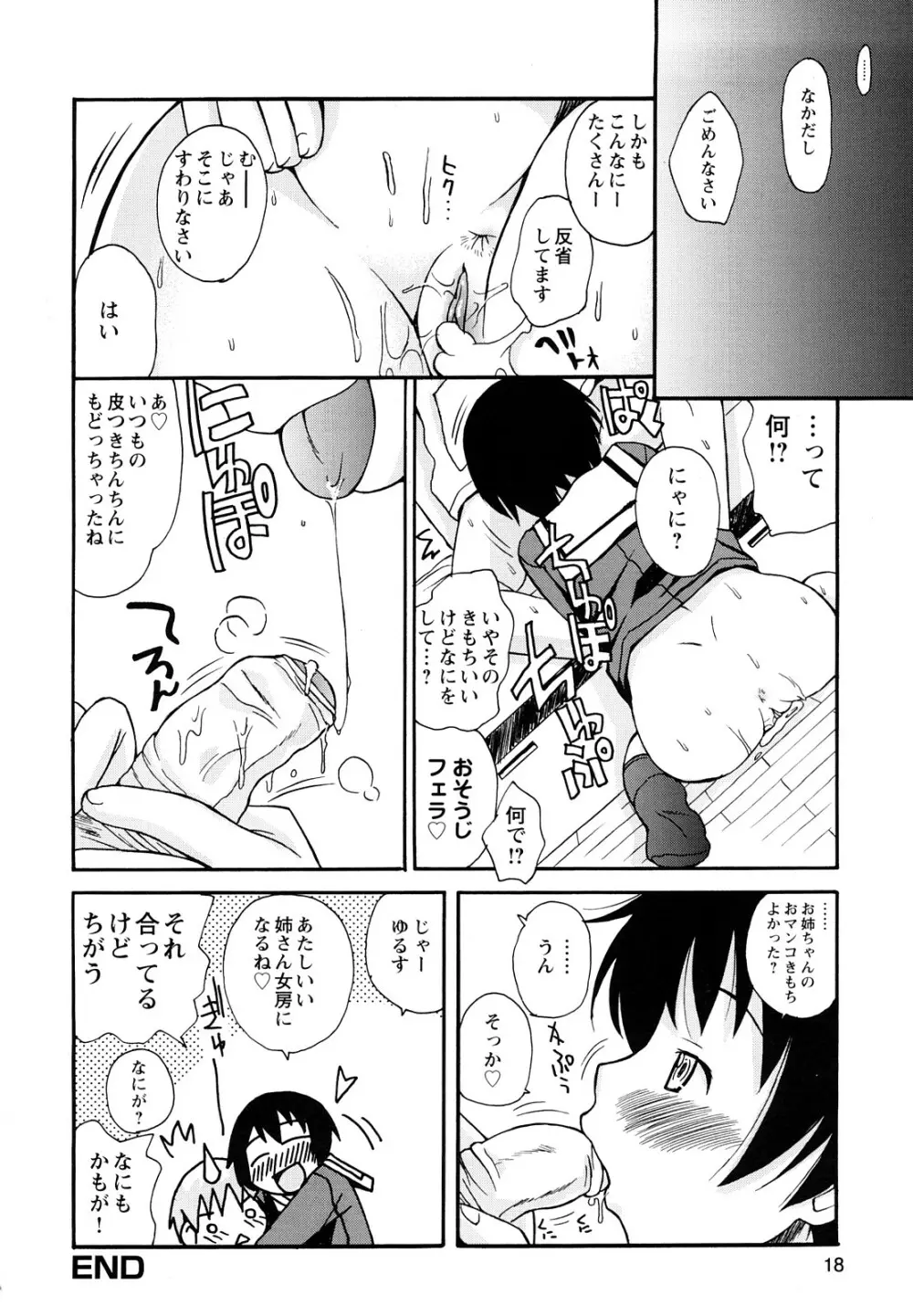 ぼくだって姉とセックスしてみたい！ Page.20