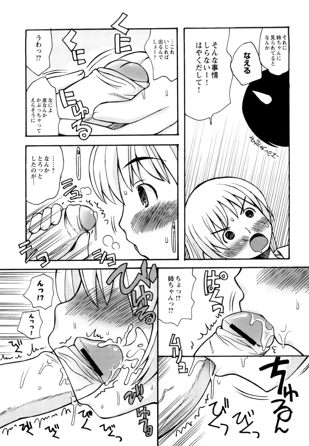 ぼくだって姉とセックスしてみたい！ Page.27