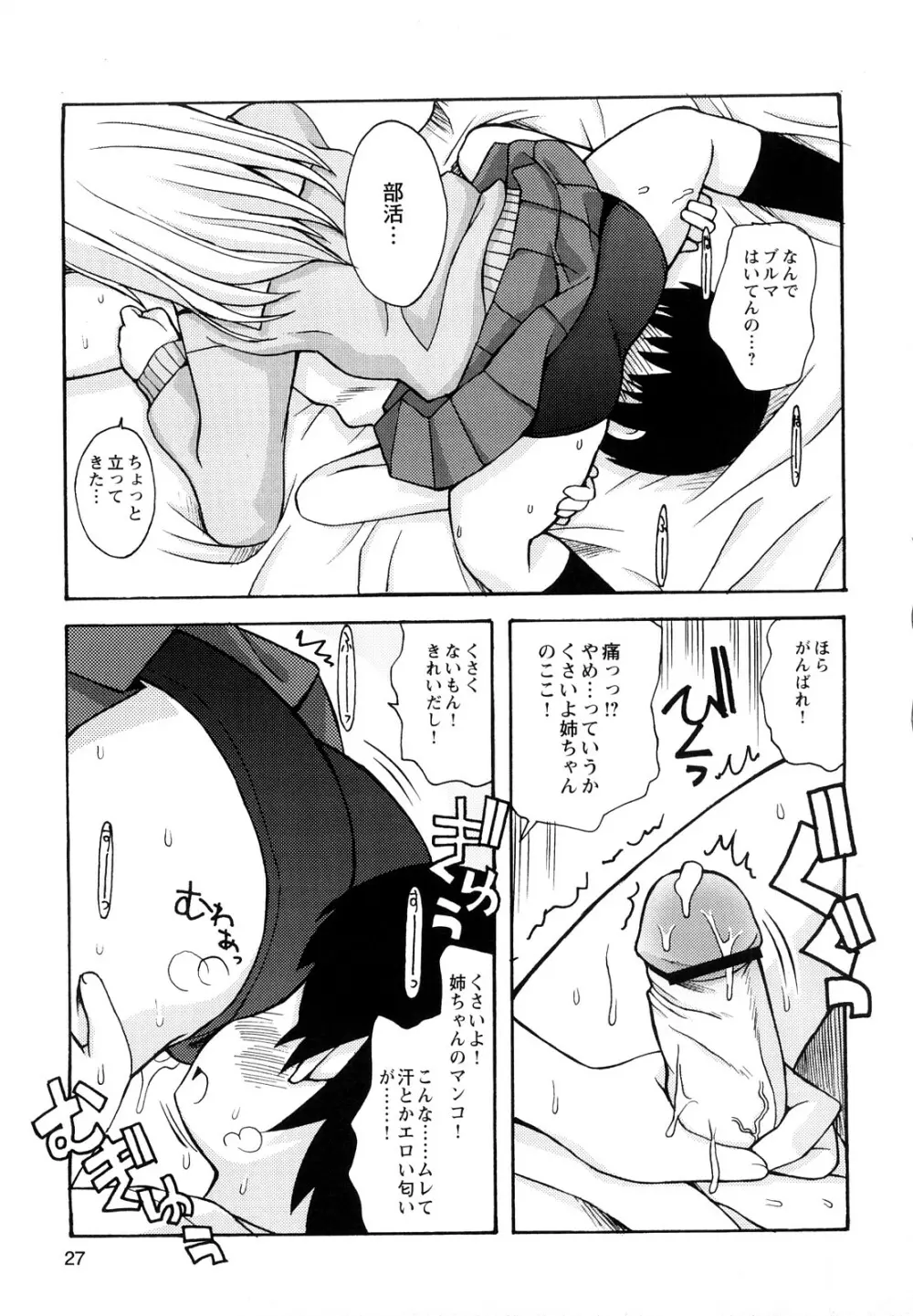 ぼくだって姉とセックスしてみたい！ Page.29