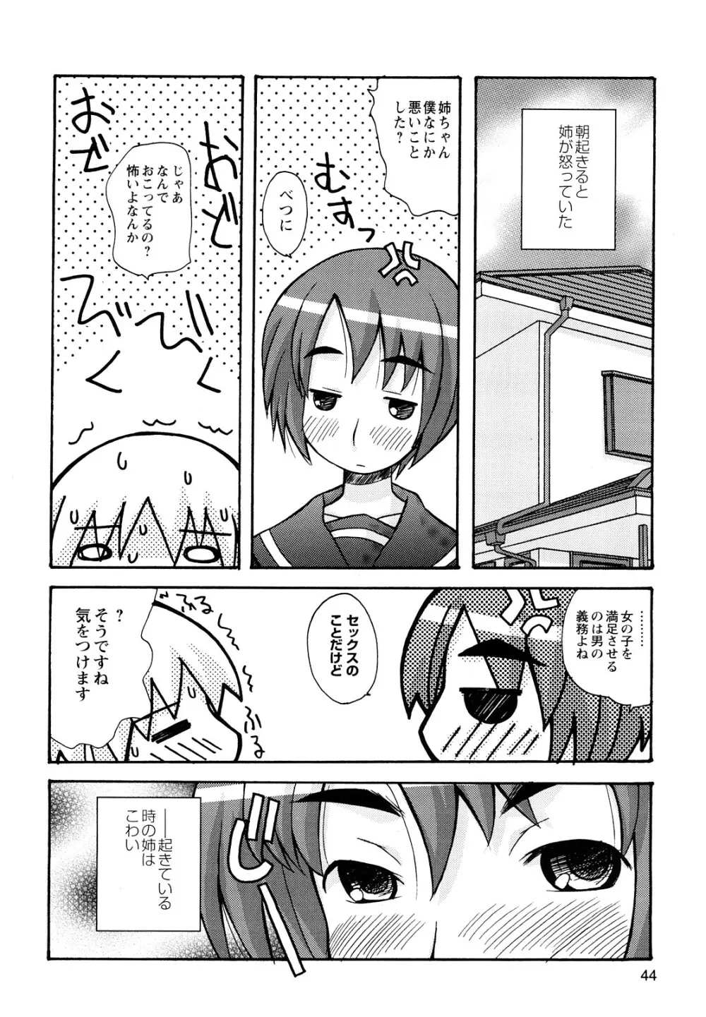 ぼくだって姉とセックスしてみたい！ Page.46