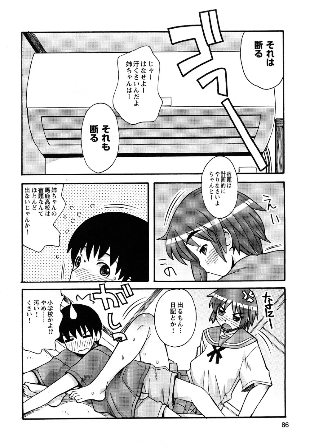 ぼくだって姉とセックスしてみたい！ Page.88